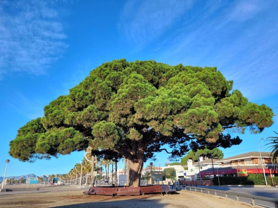 شقة Cambrils Dulces Suenos المظهر الخارجي الصورة